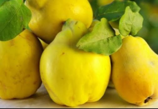  Sirop de gutui.  Mod de preparare.