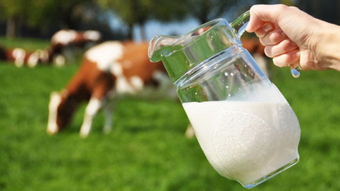  Laptele crud și virusul A(H5N1) .Ce trebuie să știți.