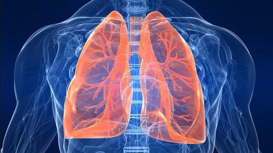  Remediu pentru plamani, TBC pulmonar. Remediu probat.