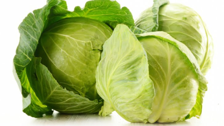  Frunzele de varză sunt ca niște magneți pentru boli.Cele mai bune medicamente, spunea regretatul meu tată, sunt cele care nu costă mai  nimic.