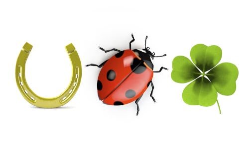  6 lucruri despre care se spune ca aduc noroc și bunastare in casa. Adevar sau superstiție?