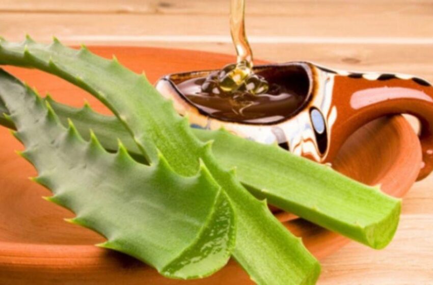  Preparat din aloe, miere si vin alb pentru   gripa, constipatie, ulcer, reumatism, nevroze.