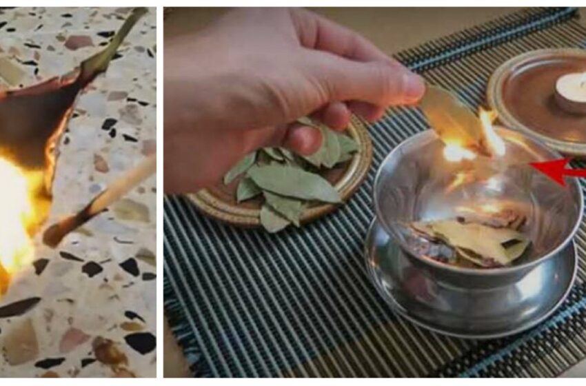  Ce se întâmplă atunci când aprindeți câteva foi de dafin in casa