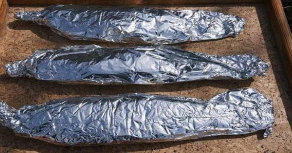  La ce  suntem expuși atunci când  folosim folia de aluminiu care ia contact cu mâncarea.