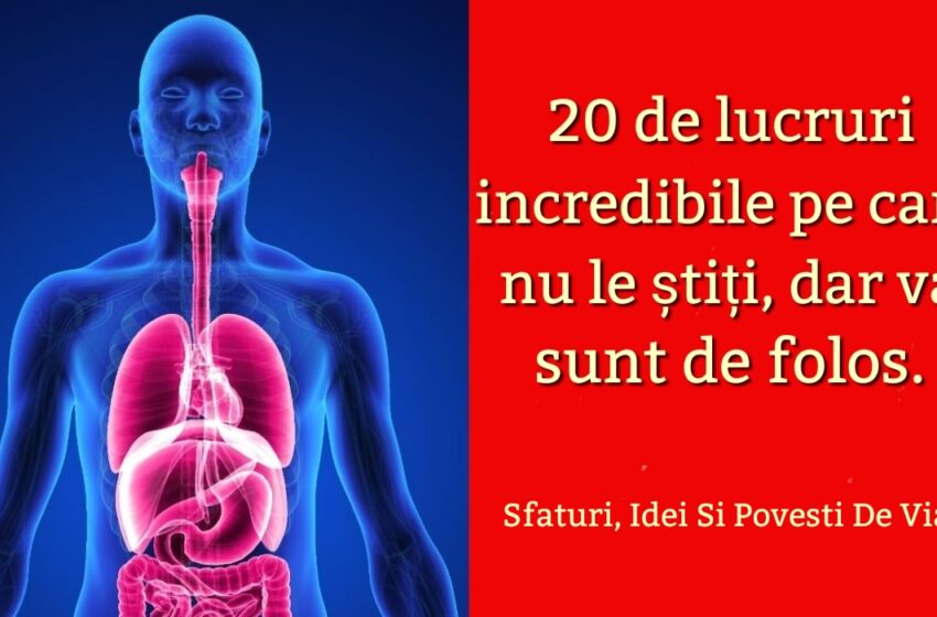  20 de lucruri incredibile ,pe care cu siguranță nu le știți, dar va sunt de folos