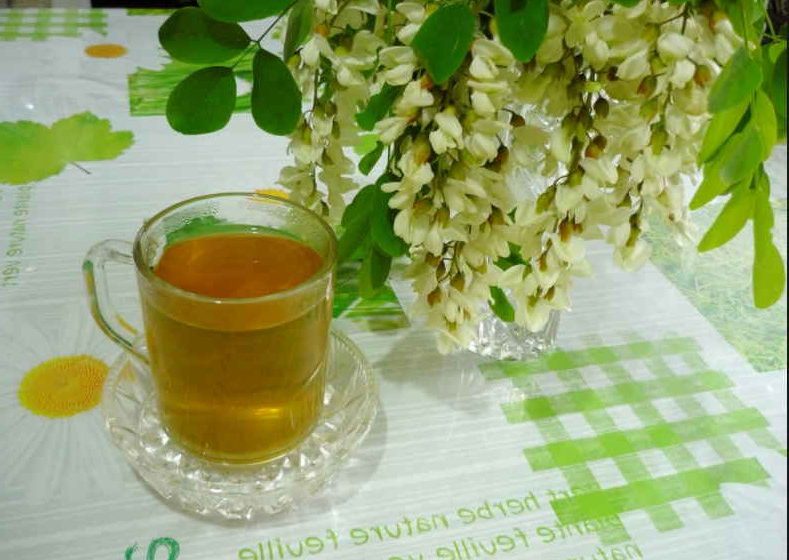  Salcamul va inflori foarte curand- Florile sale vindeca multe boli. Aduna, usucă și scapa de multe probleme de sănătate!