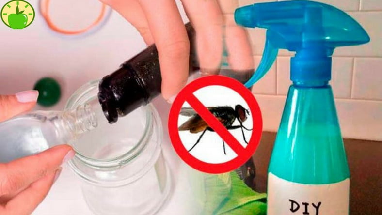  O modalitate simplă de a scăpa de muște. Amestecă două ingrediente și pulverizează casa!