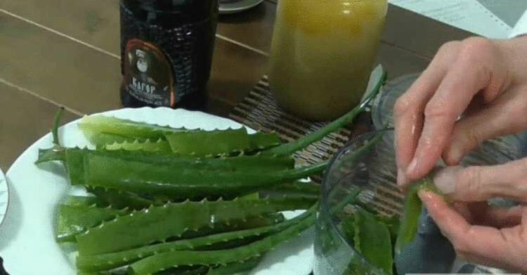  Într-o casă în care cineva este bolnav, trebuie să existe aloe