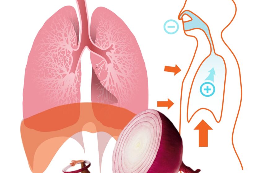  Un remediu natural pentru toate bolile pulmonare cu care s-au tratat bunicile noastre.