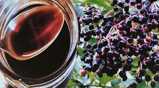  Tinctura din fructe de soc ajuta la normalizarea greutatii corporale ,guta, favorizeaza eliminarea excesului de lichide,eczeme,…Preparare, utilizare.