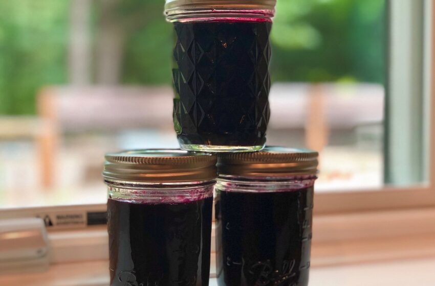  Sirop și dulceață din fructe de soc.  Preparare