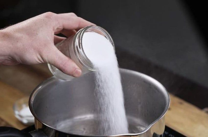  Scoateti puricii, furnicile și gândacii afară din casă pentru totdeauna, cu metode simple