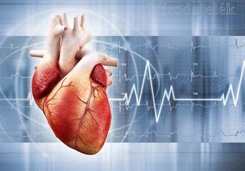  15 semne alarmante că inima nu funcționează așa cum ar trebui