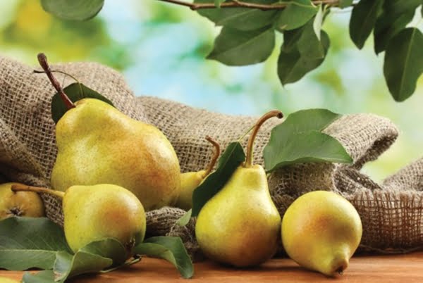  Consumul de pere si frunzele de păr, va scapa de multe probleme de sănătate