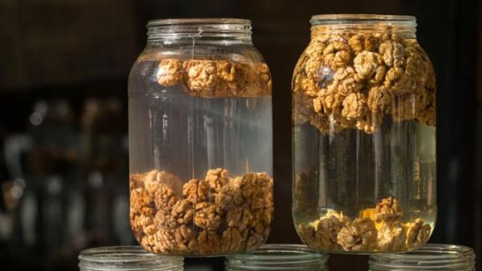  Avantajele consumului de apa de nuca dimineața