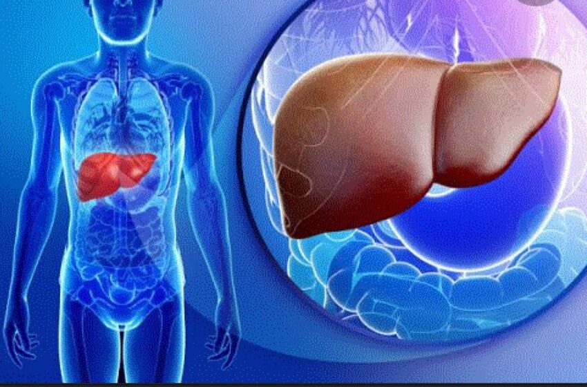  Ficatul gras este o afecțiune periculoasă! Aceste 8 alimente și plante  îți vor ajuta ficatul să elimine grăsimile și toxinele suplimentare!