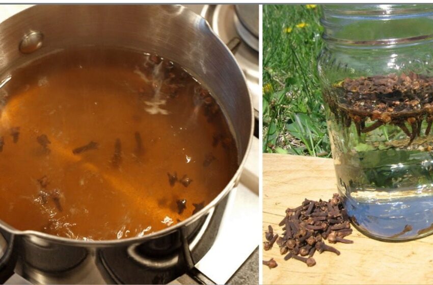  Sucul de cuișoare – un panaceu, anticii l-au folosit ca tratament