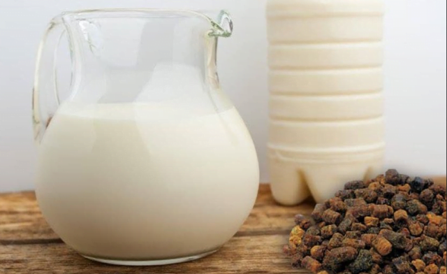  Îmbunătățirea și întărirea plămânilor cu propolis și lapte