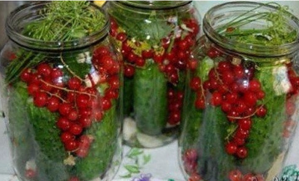  10 cele mai bune rețete de castraveți pentru iarnă