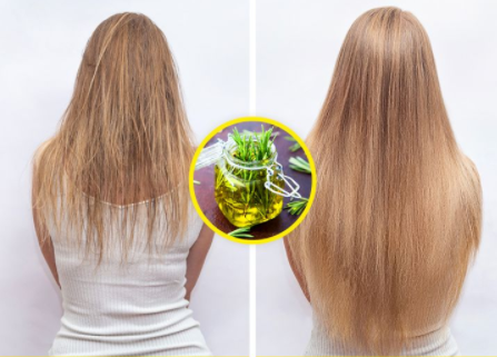 Această imagine are atributul alt gol; numele fișierului este image-97.png