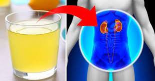 Как очистить и детоксифицировать почки дома естественным способом -  BlogNews.am