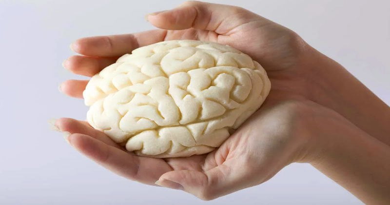  Cum să-ți antrenezi creierul și memoria, cum să previi dementa și cum să atenuezi starea când apare?