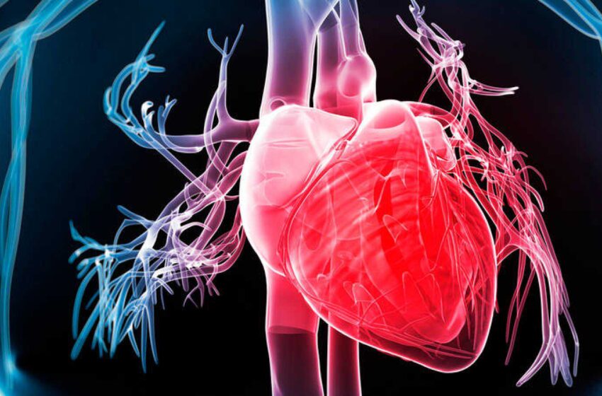  5 obiceiuri pe care trebuie să le adopți pentru a preveni un infarct