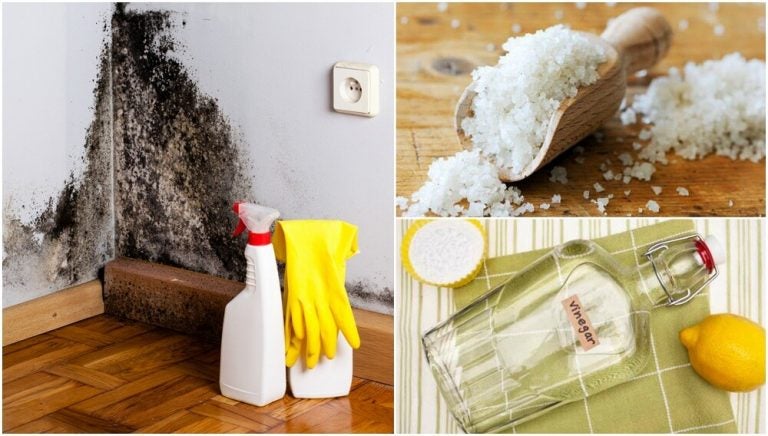  7 moduri ideale de a scăpa definitiv de problemele de umiditate din casă
