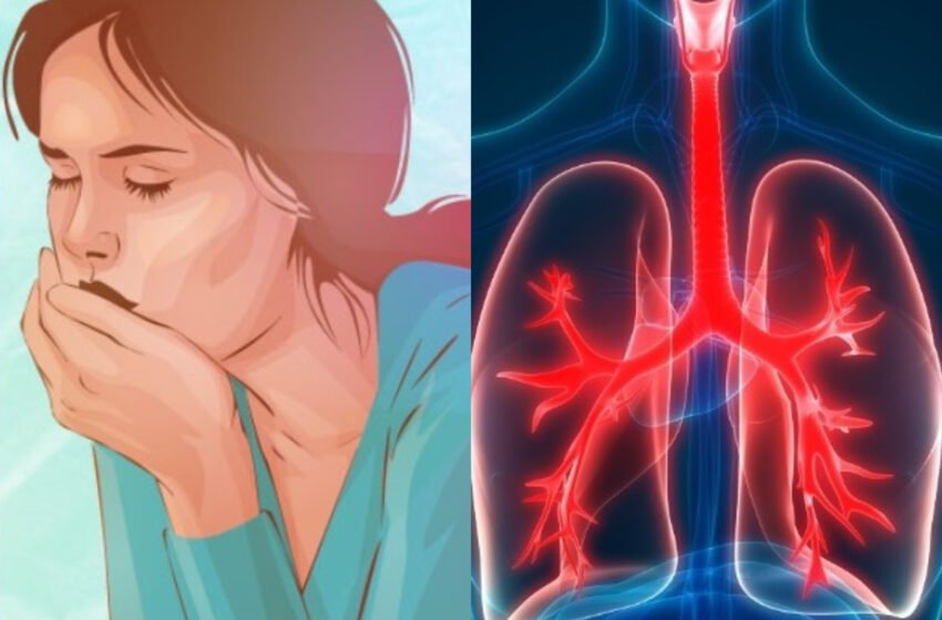 Lichidul pulmonar: când dificultățile de respirație sunt un simptom și cum afectează inima