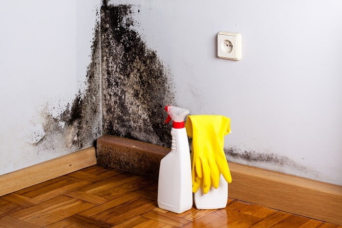  Cum să preveniți mucegaiul pe pereți acasă? Simptomele contaminării cu mucegai