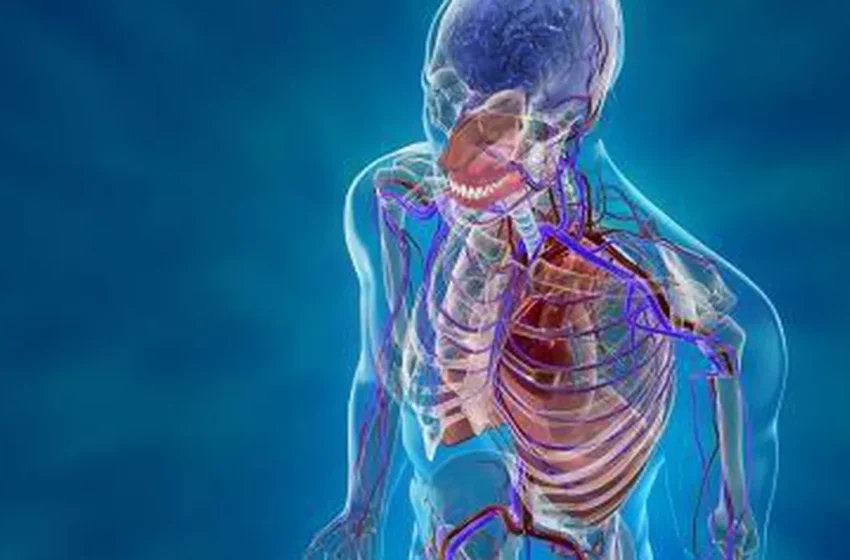  15 fapte curioase despre corpul uman pe care probabil puțini le cunosc