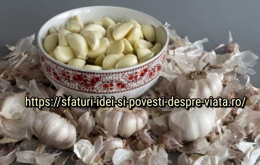  Am o rețetă rară pe care vreau să o împărtășesc cu voi. Această rețetă este pentru multe boli.