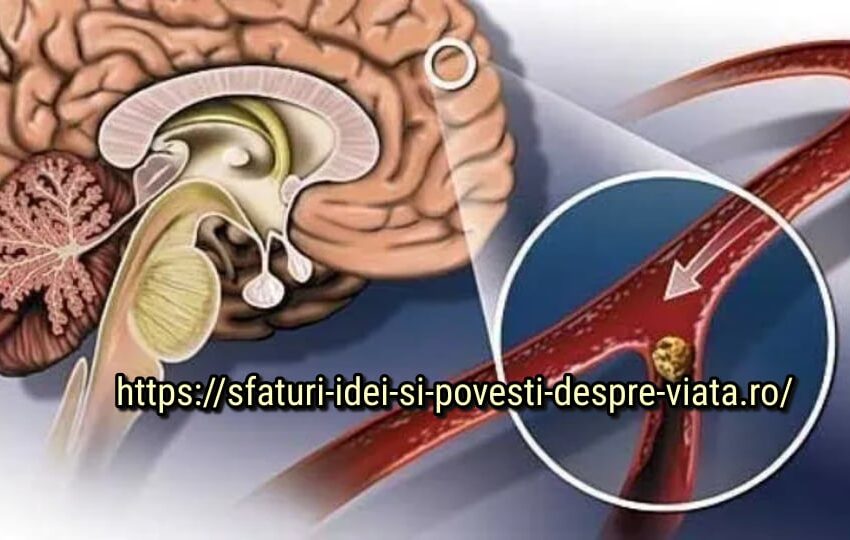 Un remediu eficient pentru a întări vasele de sânge, a restabili memoria, a restabili circulația cerebrală, a crește imunitatea.