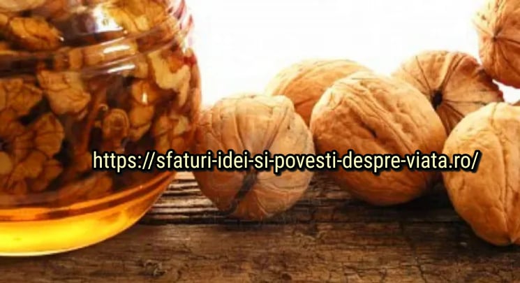  Curățarea vaselor de sânge ale creierului – tehnici unice- remedii unice