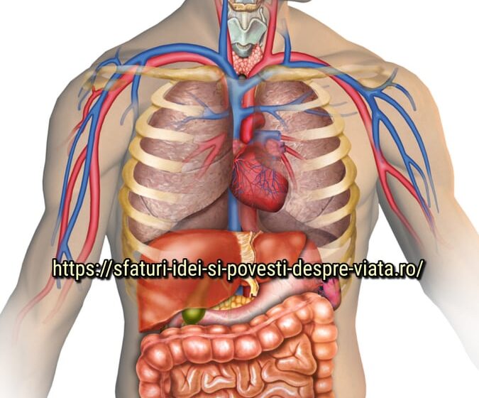  Acest exercițiu simplu va îmbunătăți funcția organelor interne.
