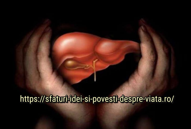  Ficatul nostru ne mărturisește și ne sfătuiește