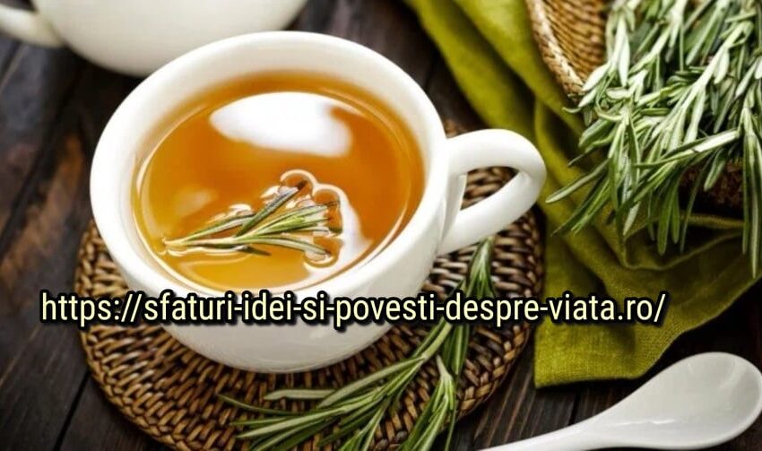  Rozmarinul-cea mai puternică plantă pentru circulația cerebrală și ajută la refacerea organismului după boli grave!