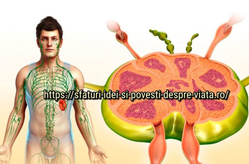  Despre ce vorbesc ganglionii limfatici inflamați?