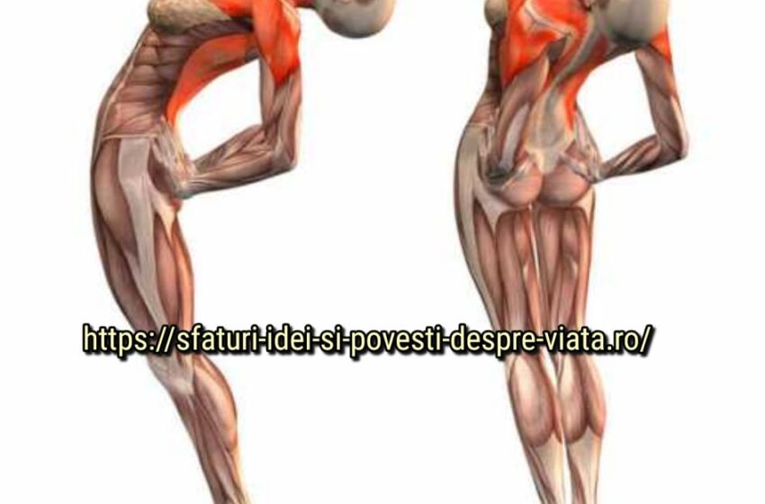  Aceste exerciții îmbunătățesc alimentarea cu sânge a creierului, îndreaptă coloana vertebrală, eliberează vasele de sânge de cleme.