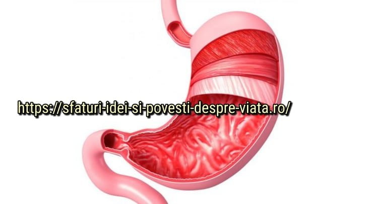  Propolisul vă va vindeca stomacul și intestinele: un tratament simplu și eficient