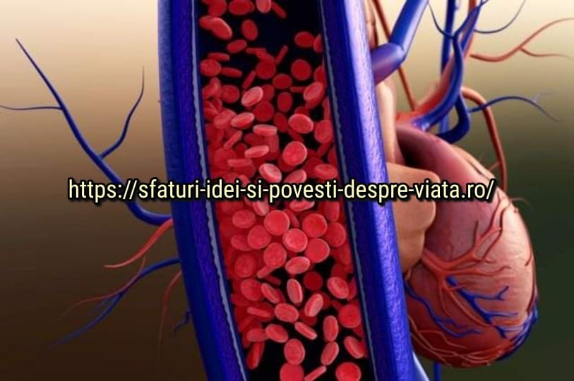  Cum să susțineți sănătatea inimii și a vaselor de sânge cu ajutorul remediilor populare