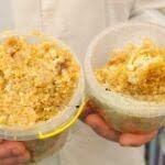  ,,Pâinea albinelor” sau Pastura este un remediu unic pentru boli grave!