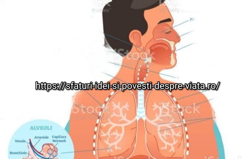  6 exerciții ușoare pentru creșterea capacității pulmonare