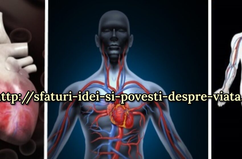  O circulație bună a sângelui este esențială pentru a rămâne sănătoși.Cum să îmbunătățiți circulația sângelui în mod natural