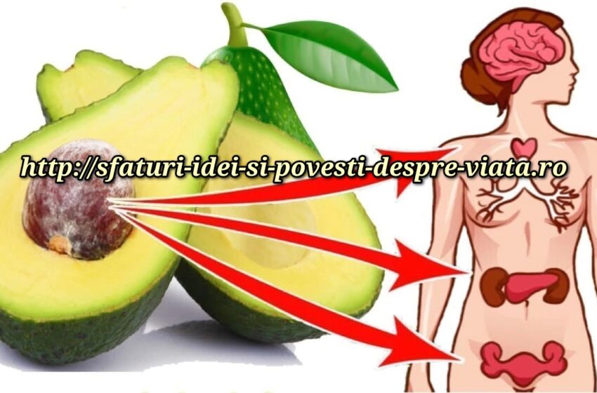  Avocado-promovează pierderea în greutate și descompune excesul de colesterol din sânge.  Îmbunătățește memoria și reduce riscul de boli cardiovasculare.
