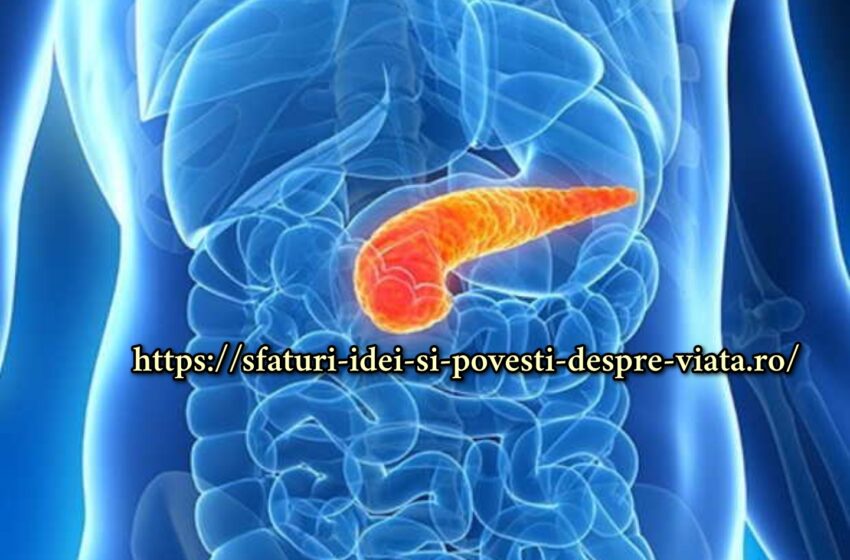  5 semne sigure de probleme cu pancreasul: verifică-ți corpul pentru a preveni bolile grave!