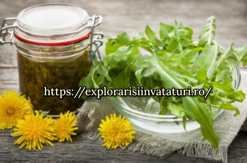  Păpădia va înflori în curând. Fă-ți un medicament excelent, nu vei avea probleme de sănătate!