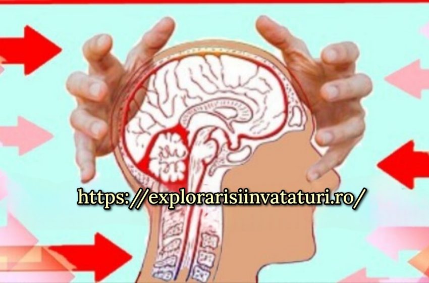  8 obiceiuri care ucid celulele creierului și îți micșorează creierul, conform științei