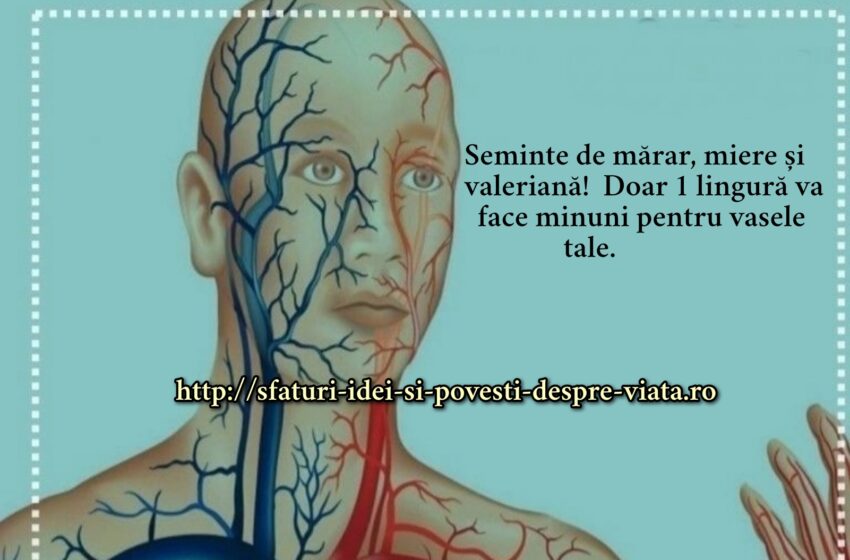 Seminte de mărar, miere și valeriană!  Doar 1 lingură va face minuni pentru vasele tale.