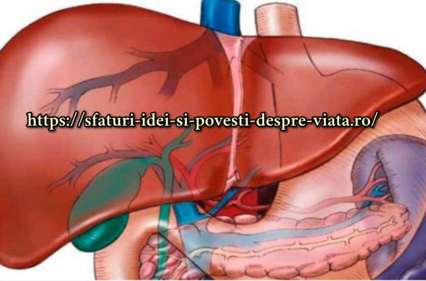  Cele mai bune 6 remedii pentru recuperarea celulelor hepatice! Ficatul tău va fi ca nou!